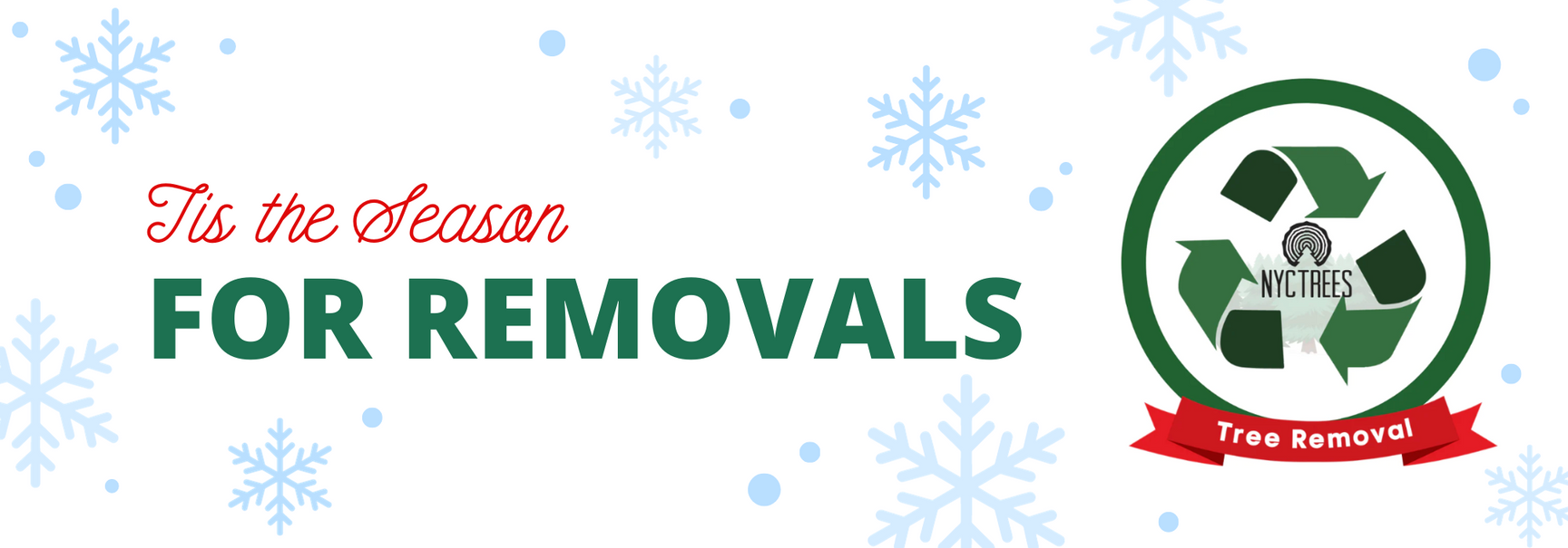 NYC Trees Christmas Tree Delivery NYC TREES