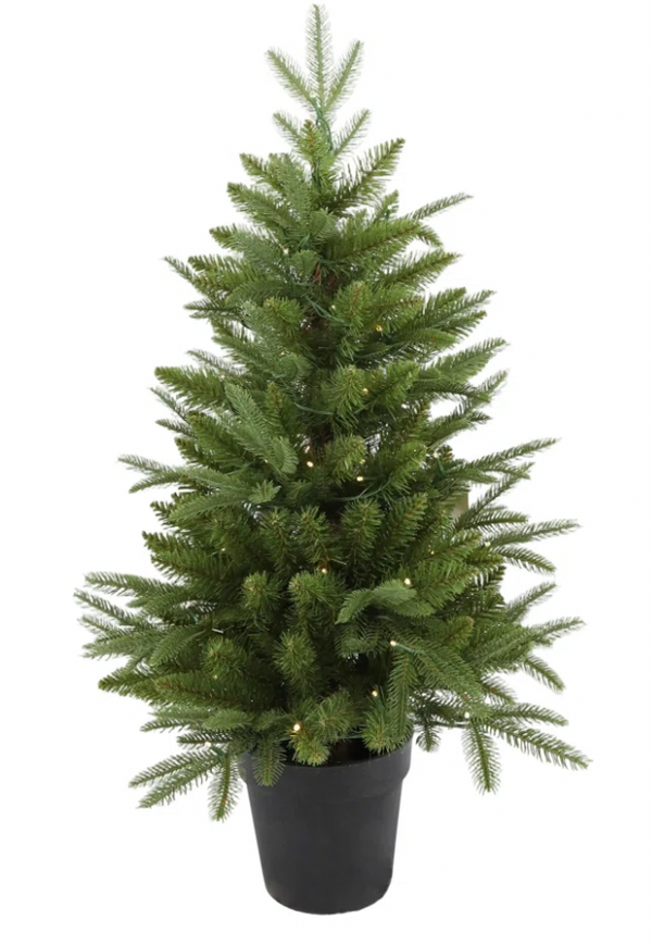 Small Potted Trees