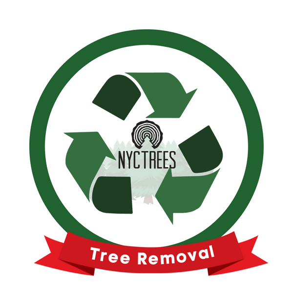 Tree Removal & Recycle